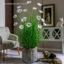 �쾰ֲ������p�ٻ��͏d�����GֲС����̫ꖻ����b[��