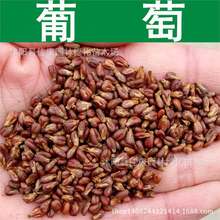 ��ľ�N�� ���ј�N�� ���ѷN�� ������ 1��=1��