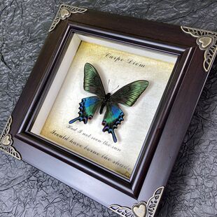 ������˱���� �Wʽ�b�DIY�͹����젝�Ҿ��b����նY��YƷ