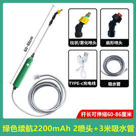 严选 2喷头电动喷雾壶 浇花电动喷雾枪园艺喷水枪消毒打药家用喷