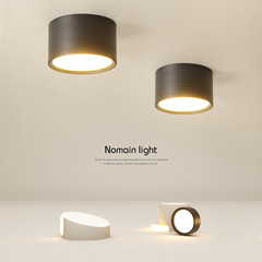 Nordic Personality Creative Ceiling Lamp for Bedroom, Simple Modern Living Room Lamp, Corridor and Entranceway Lamp