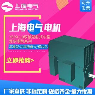 上海电气集团上海电机厂电动机YS/YX1.0双鼠笼卧式中型异步电机厂