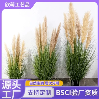 仿真植物芦苇假草拂尘商场酒店橱窗摆件绿植芦柴干花芦苇场景搭配