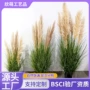 酒店仿真商场植物芦苇