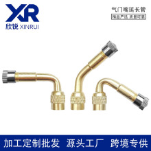 气门嘴独轮车充气嘴 45度  90°  汽车摩托车打气嘴延长管真空胎