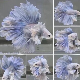 ِ��̩�����~�Ꭷ�鼆��Ů���װ����^�p�~�Ꭷ�~����С�ͺ��B�ͻ�