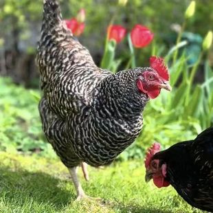 �������ϼ��N�J���u�������J���u����wÓ�������uС�u����r��