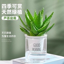 �J�C�����҃ȳ���ȩ�����՚�Gֲ���k���������ļ����B����������