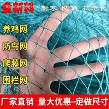 �Ӵַ��B�W��B�W�����W���ѹ�����@�r���B�u�~����W����������