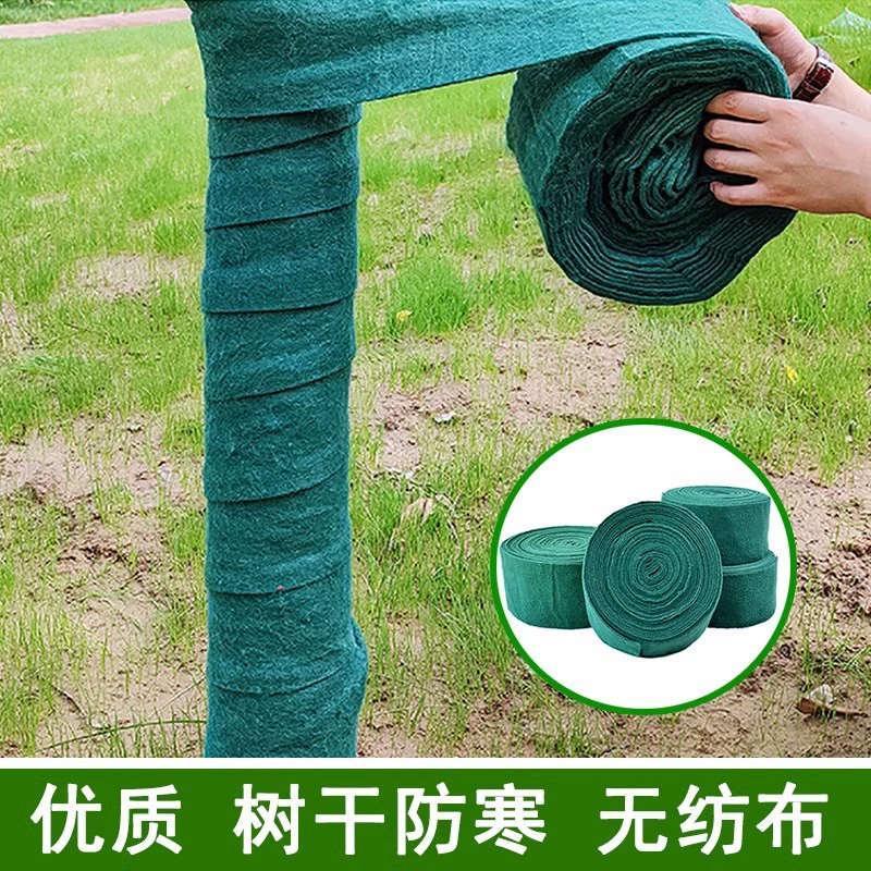 Деревья свая морозостойкие, морозостойкие, покрытые растениями