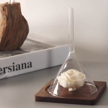 SPA����޹����չ����������㌤��ԇ������©�����ߺ���ľ����