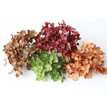 ߹Sɫ͹ɢb޹ϞTbֹdiyϰ