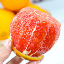 【活动】湖北秭归红橙 代发3/5斤新鲜爆甜多汁应季水果中华红血橙