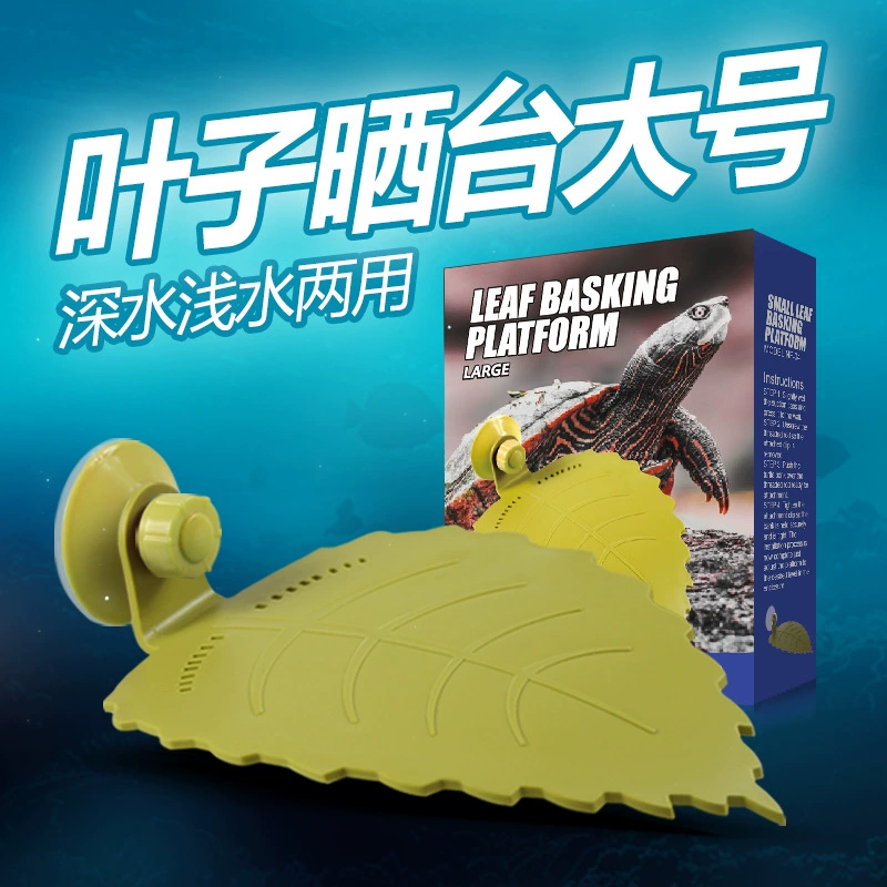 НОМО Черепаха Закат Восхождение Лестница Избегая Восхождение Лестница Домашнее Животное Сушка Вернуться Стол Маленькая Черепаха Пейзаж Закат Плавающий Остров