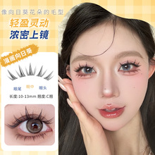 免胶向日葵假睫毛芭比漫画眼~蝴蝶少女亚裔浓密款自粘眼睫毛
