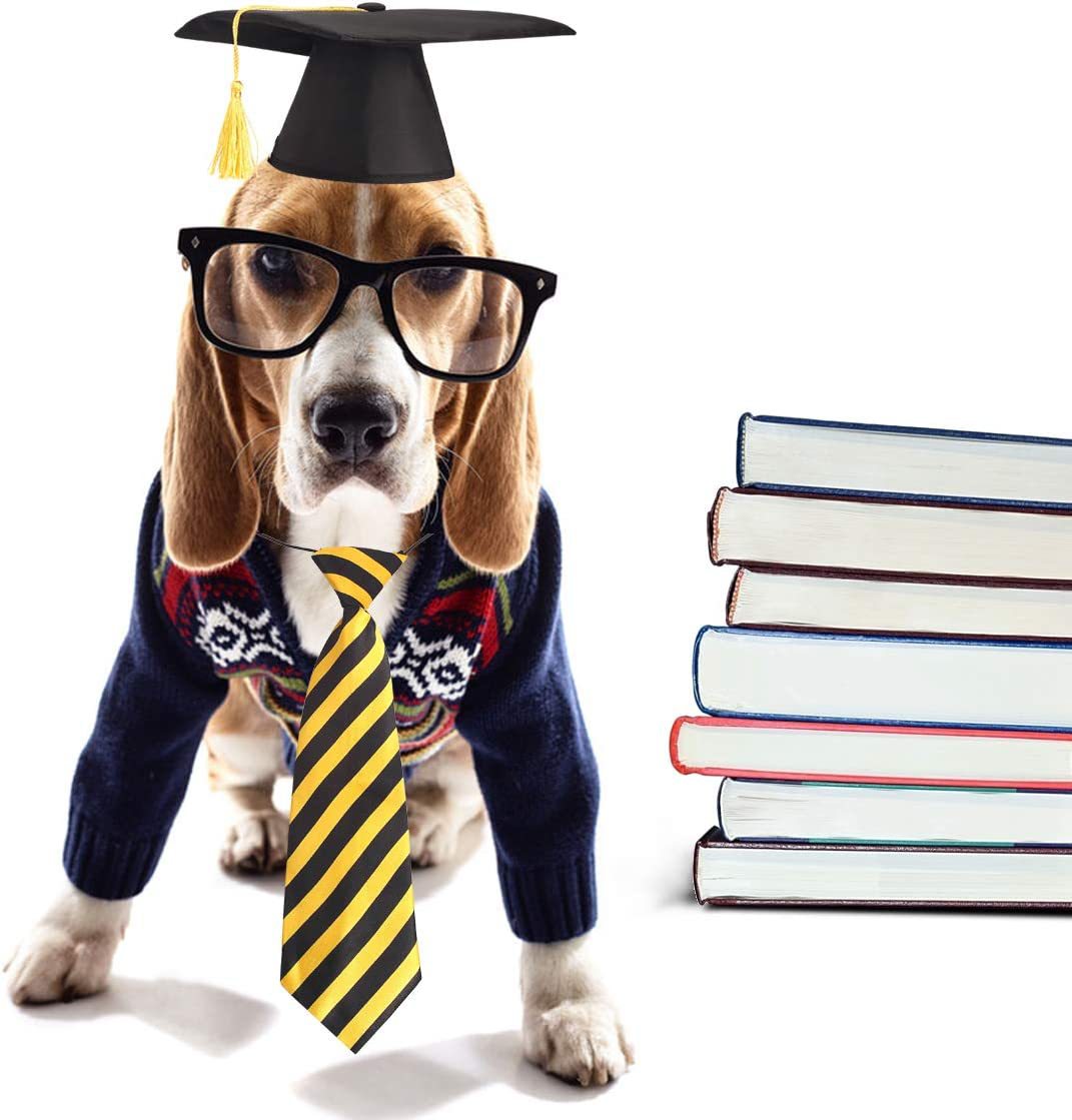 61LeiqqwnTL._AC_SL1200_