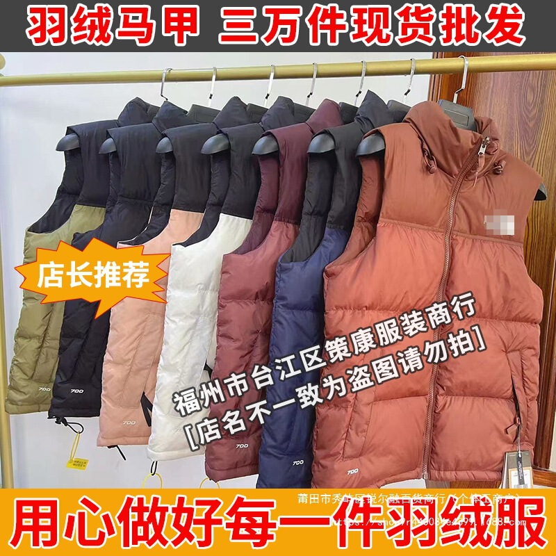 The North Face 1996 Vest Winter Warm Stand Collar Vest Unisex Tnf700 Puff Embroidered Thickened down Jacket