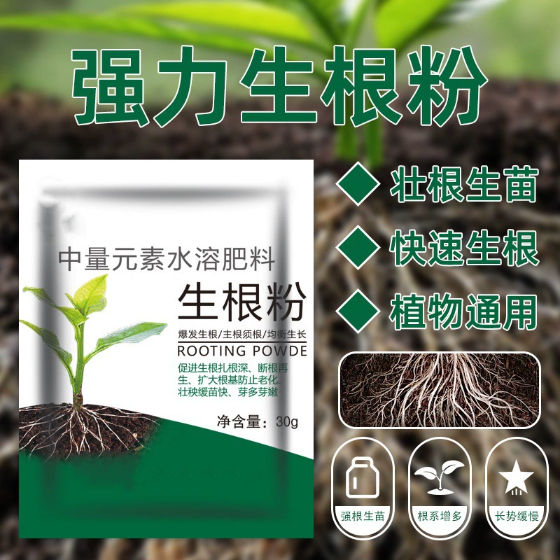 25 г универсального порошка для укоренения, укрепляющего средство для суккулентов, позицей и цветочных черенков, быстродействующий и мощный порошок для укоренения.
