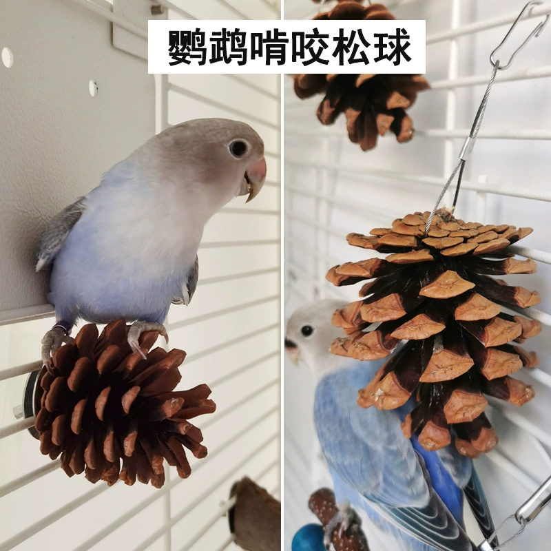 Попугай Укус игрушка птицы Клетка молярный сосновый шар сосновая шишка Xuan Feng пион Игровая мельница клюв подвесные принадлежности