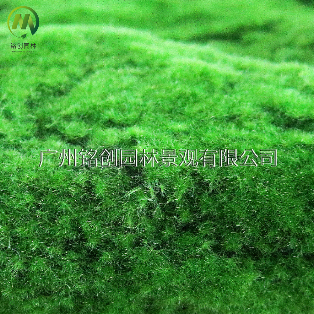 Césped de musgo artificial para micropaisajes, césped de musgo sintético para decoración de interiores, césped de musgo artificial flocado