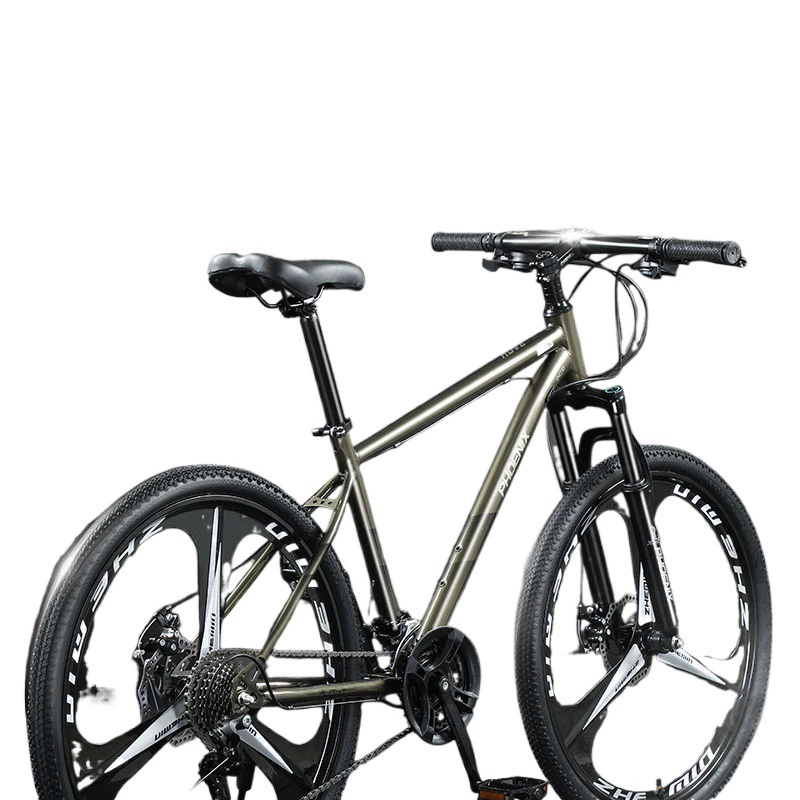 Phoenix, mountain road bike with brake system for elementary school students for adults, 24 inch, for teenagers