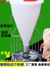 �i���Ԅ��ϲ��iʳ�۴��iĸ�iʳ�۲��P�ι�����i���ϲ��Bֳ���O��