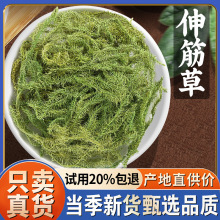 Rβǲʯɪ{Ӳ500g͸ǲșĬF؛l