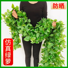 �����ٗl�G�}�~�٘��~�҃ȿ��{ˮ�ܵ��b��p�@�ړ����ϻ������G�~