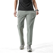 2026�ߏ����bѝ��ʿ���ļ������n�泱���\�����e�Lѝ�ӌ�����~ѝ