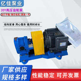 高压齿轮泵 亿佳供应2CY齿轮油泵 燃油输送泵 抽油泵 齿轮泵