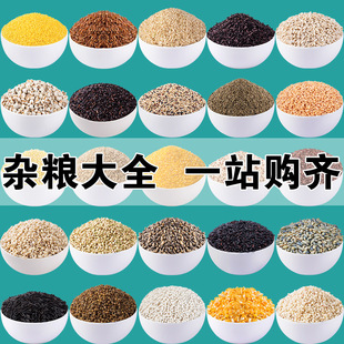 �������5���b��N�ּZ������s�Z���Sֱ�l�F؛���l �s�Z�M��f