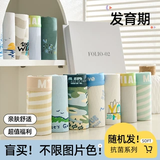 【清仓甩卖】随机男童内裤中大童平角裤男孩发育期青少年四角短裤