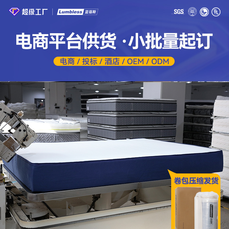 Foshan Customized Independent Spring Foam Mattress, Detachable Internet-Famous Box Latex Mattress, Soft Memory Foam Mattress Foshan Customized Independent Spring Foam Mattress, Detachable Internet-Famous Box Latex Mattress, Soft Memory Foam Mattress