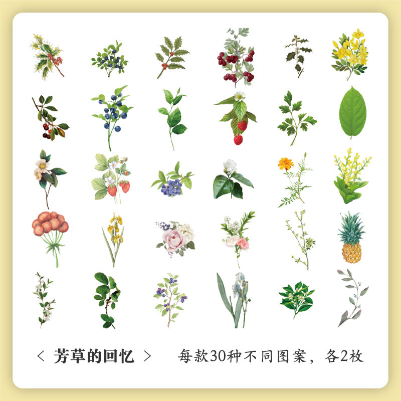 60 piezas de serie de historias naturales Pegatinas de cuentas de mano pegatinas de cuentas de mano para niños creativo material vegetal retro pegatinas a prueba de agua