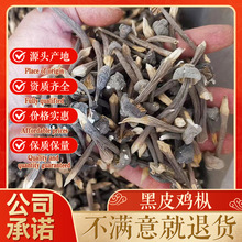 黑皮鸡枞菌干货云南特产鸡棕蘑菇食用菌散装鸡枞菌厂家批发