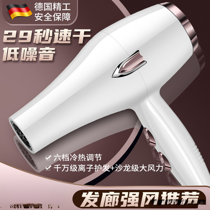 German Hairstylist Hair Dryer Hair Salon High-Power Household Strong Wind Hot and Cold Air Blue Light Negative Ion Hair Care Roll Free Shipping