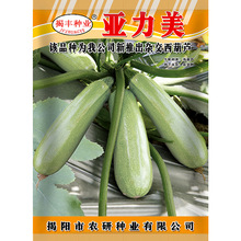西葫芦种子 杂交高产早青小南瓜青瓜 春秋阳台田园蔬菜种子10粒装