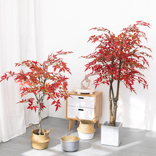 �Gֲ�ټt��������ֲ���쾰���~�b��͏d�҃Ȕ[�����ͼٻ���