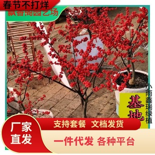 һ�����l�M�ڱ����������Ԏ��t���͹������������r���ͺ����ܱ���