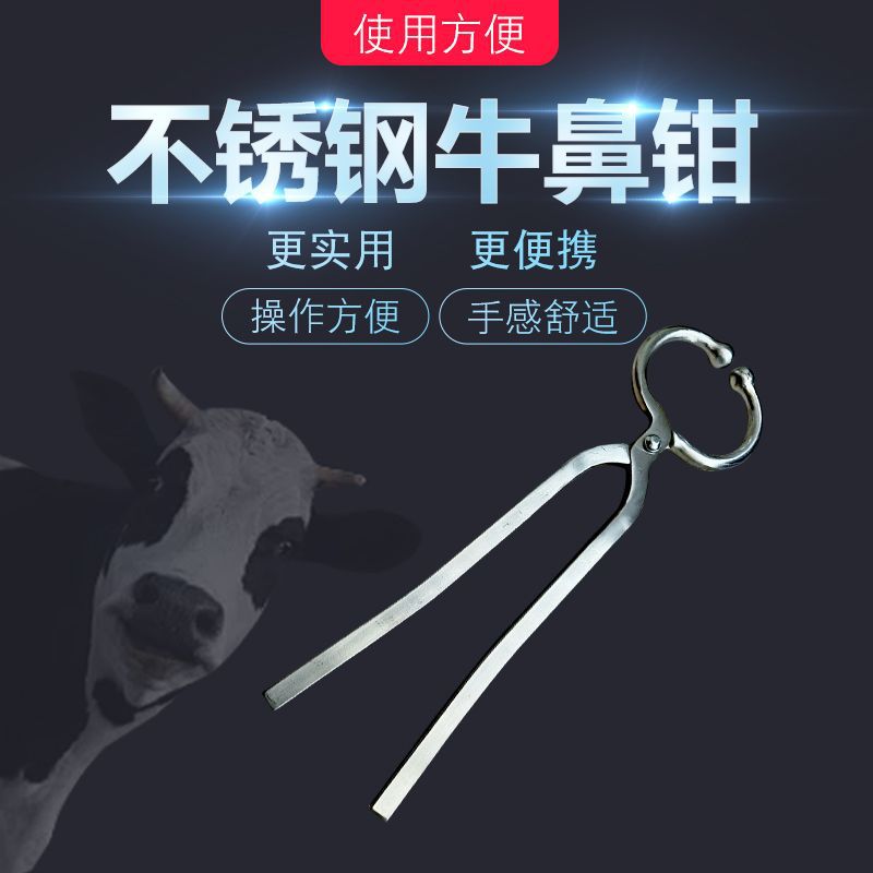 Alicates de Nariz de ganado de acero inoxidable con bloqueo Alicates de tracción de Nariz de ganado Estabilizador Punzonado de Nariz de ganado Medicina de alimentación Alicates de Nariz de ganado Cría de ganado