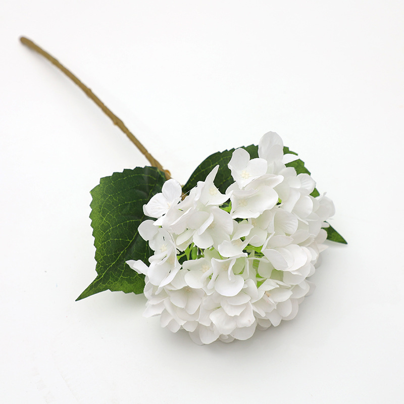 Pure white