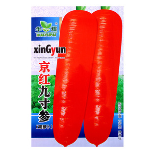 ���t�Ŵ煢�t���}���N�� �r�����Դ���tƤ�t���׃��غ��}����
