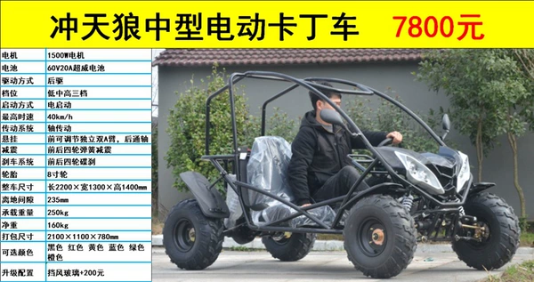 Electric karting