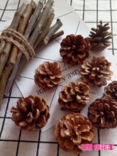 �ɹ��b�Ʒ�[������Ұ��DIY�ֹ����ϸɻ��h���׃��@ɭ�ָɘ�֦��