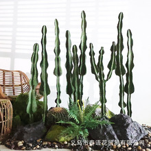 ����������ƾGֲ�����b��۔[�����ՠ����s����ɳĮֲ���辰