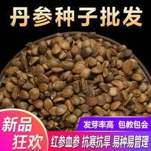 NșҰtN˅Nԭbļ߲˷NӴȫ