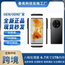 跨境智能手机全网通16+512大屏双卡双待高清拍照旗舰性能手机定制