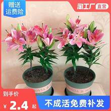 �ٺϷN��Gֲ������ˮ���ܻ����̨�^��ֲ���҃��ļ��_�����B�׻�