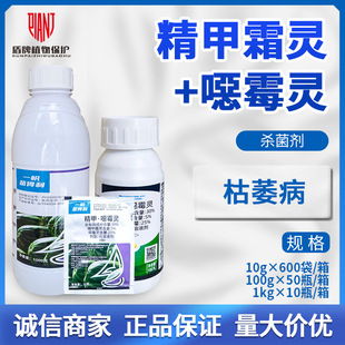 һ�����������30%����˪�`&middot;�fù�`��ù�`���Ͽ�ή���������rș
