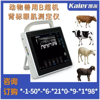 兽用B超机肉 猪羊彩超机价格动物背膘眼肌测定仪智能眼肌面积检测
